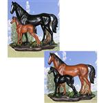 HRD30209 Season of Foals Horse  2 asst